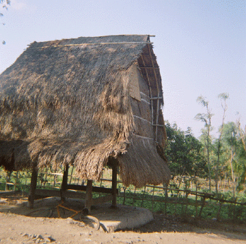 Tradtitional house