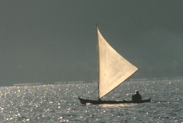 Traditional Sailing Canoe