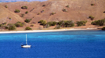 Ventana at anchor- Komodo Island
